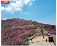 [생각이 자라는 고전] 우리 산과 명승을 소개한 성해응의 동국산수기