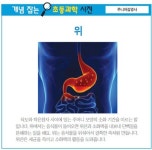 [개념 잡는 초등과학 사전] 위