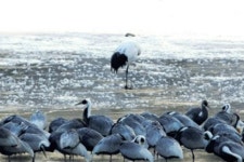 도심 탈출! 정겨운 추억 쌓아요