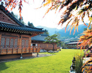  소나무·잣나무 향 솔솔 문화 힐링 여행 떠나볼까 