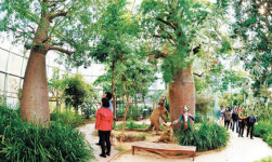  봄 내음 가득 실내 식물원… 이국적 정취는 덤이죠 