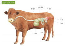  [우리 속담으로 본 생태 이야기] 바늘 도둑이 소도둑 된다 
