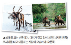  [생태 돋보기로 다시 읽는 안데르센 동화] 바보 한스 