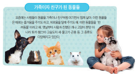  [생태 돋보기로 다시 읽는 안데르센 동화] 바보 한스 