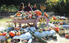  [문화광장] 클래식 악기, 보고 듣고 느끼세요! 