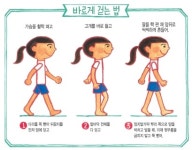  [몸 잘 자라는 법] 우리 몸의 기둥 