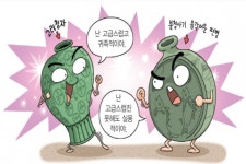[상식발전소 찌릿찌릿 문화재] 청자에 하얀 분을 발랐다고?