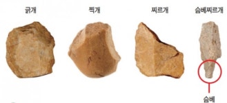 [초등학생을 위한 한국사 사건 사전] 뗀석기를 사용한 인류, 한반도에서도 살다