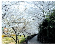 경기옛길 역사문화탐방, 꽃길 걷기여행 구간 선정 발표