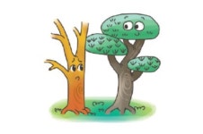 [ 정말? 정말! ] 대추나무는 양반나무 라는 별명이 있어요. 그 이유는?