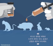 [ NIE논술 ] 보다 아름다운 세상을 위해