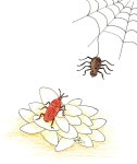 [ 코로나 극복 위한 희망의 동화 ] '기웃기웃 바구미'