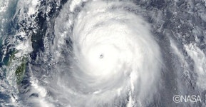 [ NIE논술 ] 슈퍼 태풍 생존자에서 지구의 수호자로