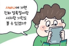 「핵심 콕! 사회 교과서 어휘」사파리 말고 사바나