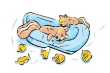 「이야기 편의점」도토리라도 함부로 빼앗으면