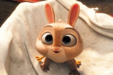 스크린에 그려 낸 사랑·우정·모험