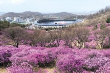 마음 설레는 봄 축제 속으로···