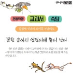 「초등학생 교과서 속담」못된 송아지 엉덩이에 뿔이 난다