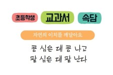 「초등학생 교과서 속담」콩 심은 데 콩 나고 팥 심은 데 팥 난다