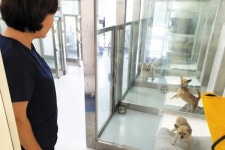 경기 반려마루 여주 내달 말 문 연다