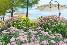 순천만국제정원박람회 가을을 입다