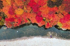 축제의 계절 가을! 풍성한 추억 만들어요