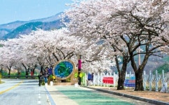 봄 따라 강 따라 가족 나들이 떠나볼까