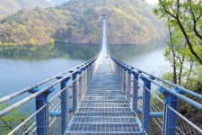 충북진천군, 출렁다리 초평호 미르 309 개통