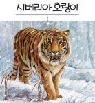 우리나라 야생동물 찾기 - 시베리아 호랑이
