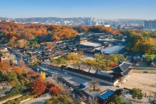 「식물로 보는 한국사 이야기」숲이 아름다운 임금의 정원 창덕궁 후원