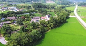 고창 삼태마을숲 천연기념물 된다