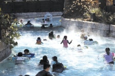 따뜻함 과설렘··· 카피바라와 함께 힐링하세요