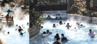 따뜻함 과설렘··· 카피바라와 함께 힐링하세요