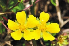 우리나라에 사는 생물 6만 2604종