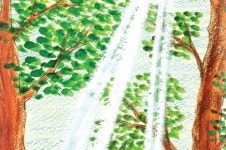 꿈과 희망의 동시·동화 - 아주 작은 나무