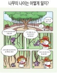 「꽁냥꽁냥 그림과학」나무의 나이는 어떻게 알지?