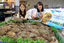 대형마트 꽃게전쟁이 반가운 이유, 지금이 싸게 먹을 수 있는 절호의 기회!