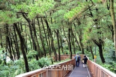 이바구로 듣고보는 부산의 속살, 부산 원도심 여행