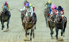 네버신비포’, 농림축산식품부장관배서 짜릿한 역전승!