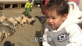오마베 슈퍼 베이이 태오, 돼지 우리서 통곡한 까닭은?