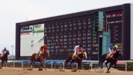 마사회 , 프랑스 포함 EU 9개국에 한국경마 수출
