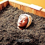 웰빙 자연발효 개똥쑥 효소찜질욕으로 인기