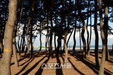 대개 외면하기 어려운 마지막 겨울의 맛, 울진 대게 여행
