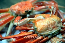 대개 외면하기 어려운 마지막 겨울의 맛, 울진 대게 여행