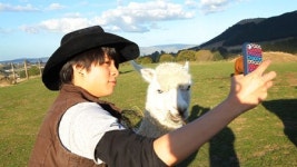 엠버, 라마와 진지하게 찰칵…가족 사진 찍을래 폭소