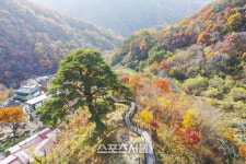 드라마 지리산 흥행 타고 관광 남원 뜬다