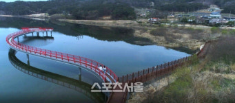 영광군, 물 위에 붉게 핀 상사화 위를 걷다