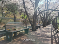 경기도, 둘레길 봄꽃명소 가평23·부천55 코스 추천