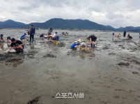 고창군, 바지락 축제 개최…갯벌체험 등 프로그램 다양