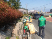 진도군 고군면, 사회단체 회원들과 도로변 환경정화 실시